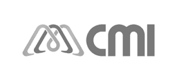 Client 1